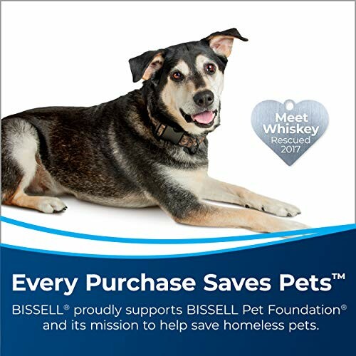 Dog named Whiskey with Bissell Pet Foundation message