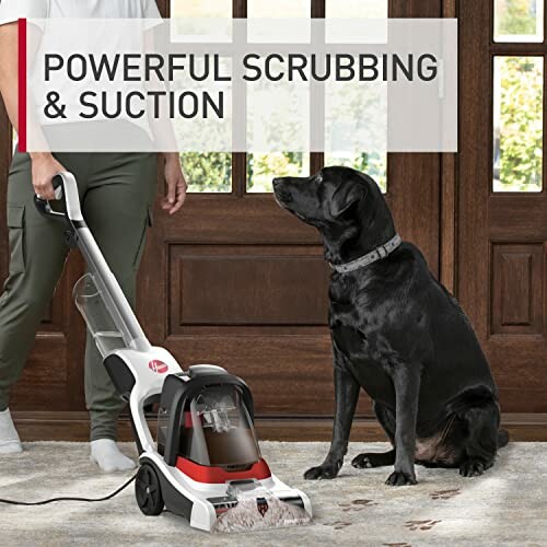 Person using a vacuum cleaner with a dog nearby on a carpet, making cleaning easier and faster.